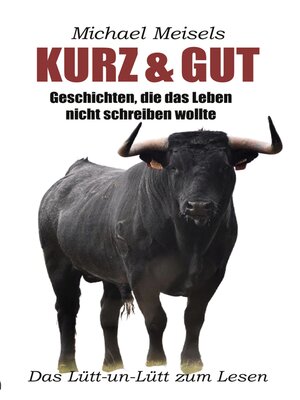 cover image of Kurz & Gut
